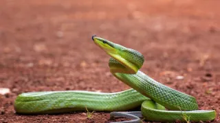 Жизнь развернется на 180 градусов: Кого ждут крутые перемены и испытания — Восточный гороскоп на 2025 год