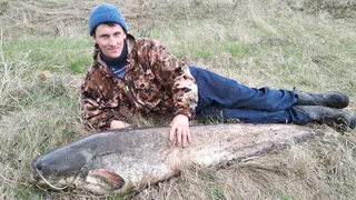 Даже не взвесили: рязанец поймал огромного сома