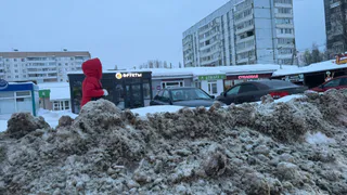 В Пензе губернатор потребовал навести порядок с уборкой снега