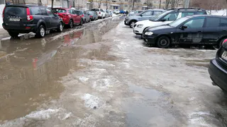 Тепла не будет: прогноз на март от главного синоптика России