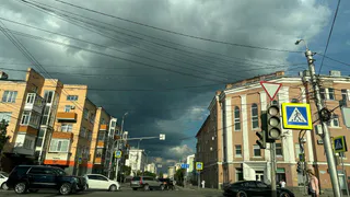 Почему водителю придется тормозить, даже если пешеход не дошел 2 метра до "зебры": в ГИБДД дали точный ответ