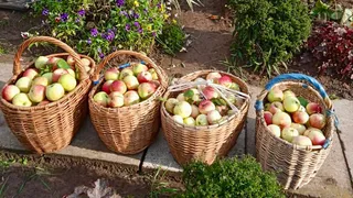 Поехал на сезон поработать в Польшу и понял, почему наши деревни пустеют — и дело тут не только в зарплатах