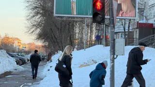 Почти треть бизнесменов Татарстана — молодые люди до 35 лет