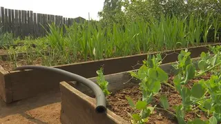 Нижнекамские дачники пожаловались на отсутствие воды 