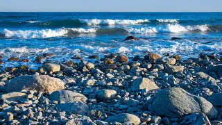 Отдыхающие, вернувшиеся с Черного моря, массово подают в суд: новая беда испортила долгожданный отпуск