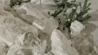 Снежные завалы в Коми превратились в акт вандализма