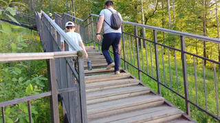 Если вы правильно пишете эти девять слов, вы грамотный человек