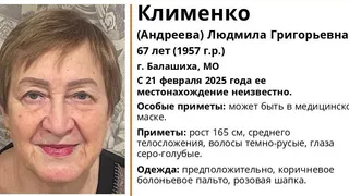 Во Владимирской области ведутся поиски пропавшей 67-летней женщины