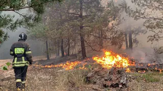 Пострадавший при ликвидации пожаров в Рязанской области получил ожоги третьей степени