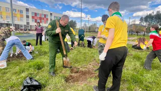 В Коми создали “Аллею памяти” героям Великой Отечественной войны