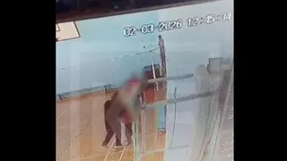 В Татарстане учитель физкультуры ударил ученика — прокуратура начала проверку