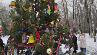 В рязанском Дягилеве вместо страшной елки установили красивую сосну