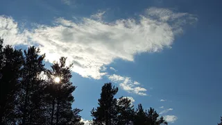 В Коми пройден пик лесных возгораний