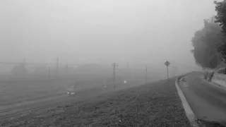 МЧС предупредило рязанцев о сильном тумане 1 апреля