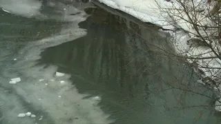 В реке Павловке у Московского шоссе ПДК нефтепродуктов превышена в 8 раз