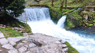 "Говорят, в Абхазии обманывают русских туристов - я не верил, пока сам не попался": честный отзыв об отдыхе