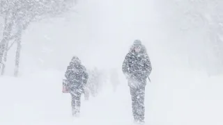 В Брянской области прогнозируют мокрый снег и гололедицу