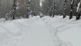 Синоптики резко поменяли прогноз с 6 марта: сразу несколько регионов накроют морозы и снегопады - вот куда вернется зима
