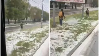 «Зимнее озеленение»: в Магнитогорске объяснили космическую стрижку травы под снегом