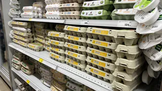 Лотки от яиц спускаю в погреб — и всю зиму слезы счастья утираю: нужны не для хранения урожая — эффект стоит дороже золота