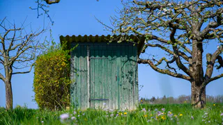 С 8 июля будут полностью запрещены туалеты на даче: их придётся снести