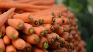 Морковь сразу пойдёт в рост: в начале июля полейте грядку этим раствором — первый шаг к шикарному урожаю