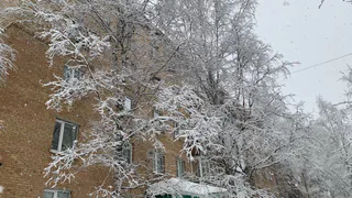 Арктические морозы и резкие оттепели: что будет с погодой в России на неделе