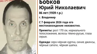 Во Владимире разыскивают пропавшего во время прогулки 86-летнего мужчину