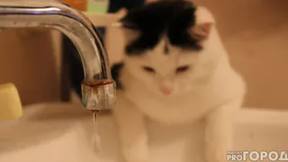 В Корткеросском районе жителям вернут водоснабжение, благодаря прокуратуре