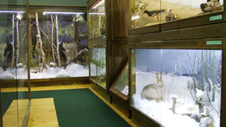 В Окском заповеднике поднимут цены на экскурсии с 7 октября