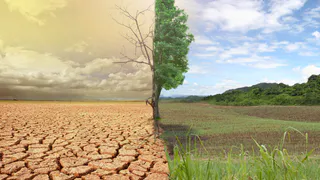 А вы чувствуете себя «лягушкой в кипятке»?