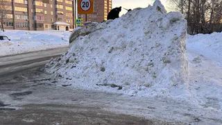 «Слепая зона, невозможно выехать»