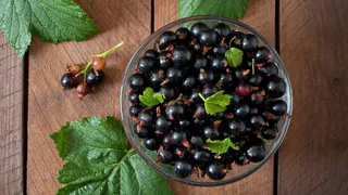 Смородина даст большой урожай: всего 2 хитрости с кустами в апреле