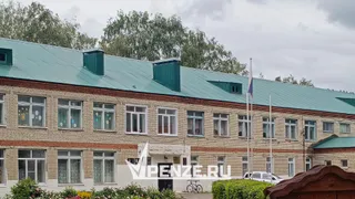 В пришкольном лагере Сердобского района на 6-летнего мальчика чуть не упал старый стеклянный плафон: чиновники просят не паниковать