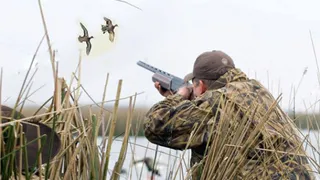 Охоту на дичь в Брянской области запретили до 16 июня