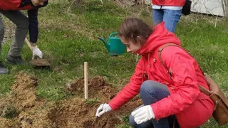 Без пафоса и пиар-речей: студенты-медики посадили деревья для маленьких пациентов