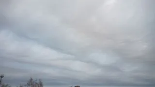 Жители Рязани заметили в небе асператусы утром 17 ноября