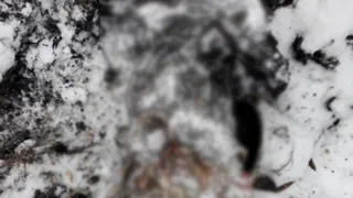 В Татарстане нашли обгоревшие человеческие останки