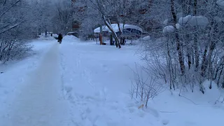 Во Владимире крепкие морозы продлятся все новогодние праздники