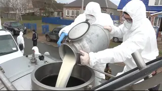 Молоко – 70, творог – 200: стали известны цены на молочку из Заокского