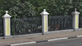 Демонтаж: рязанцы не хотят менять ограду Наташиного парка