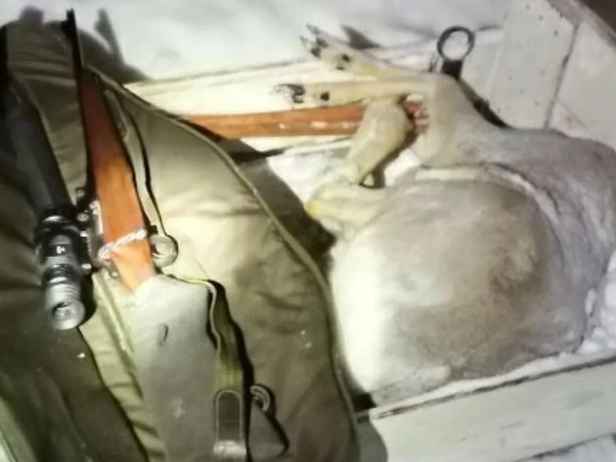 В Татарстане задержали браконьеров с добытой косулей