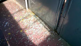 Хулиганы разнесли стеклянную дверь в пригородной электричке