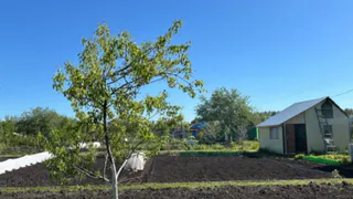 Это самая вредная и опасная ягода: а мы едим ее как деликатес, еще и детей заставляем