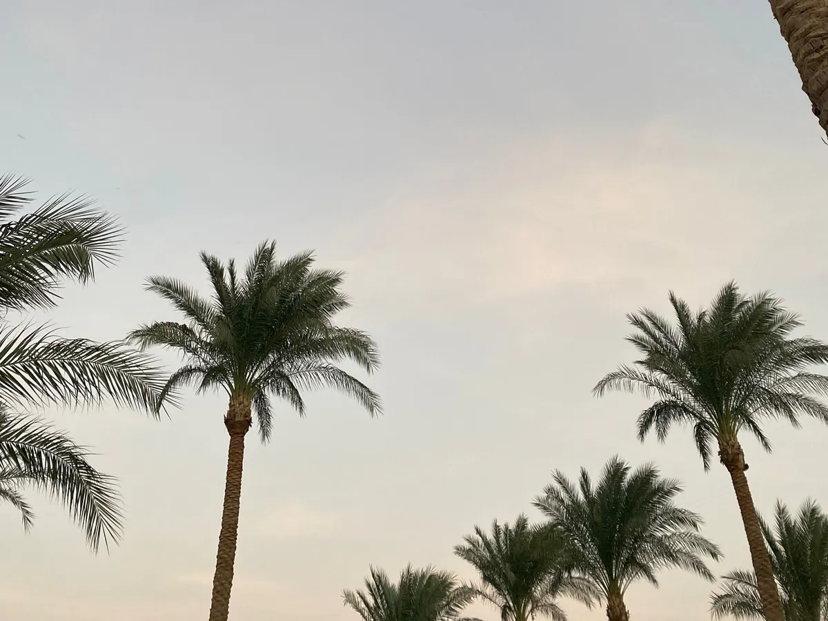 Не еду в отель, если вижу, что там они: с кем и почему избегают отдыхать русские туристы