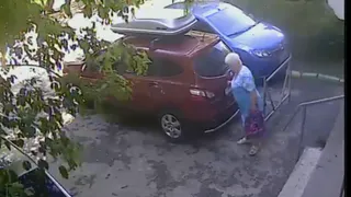 Бабушка-вандал обнаружена на улице Зубковой - водители, осторожно!