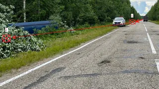 В Коми «Газель» съехала с дороги и вписалась в дерево