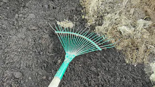 В Пензе с 18 апреля запустят 19 дачных автобусных маршрутов