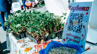 В Чувашии вновь появится возможность купить фермерскую продукцию без посредников