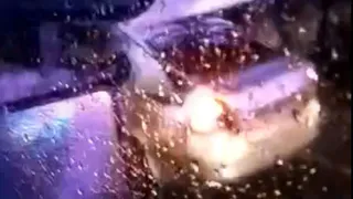 Появилось видео с места смертельного ДТП в Рыбновском районе с фурой